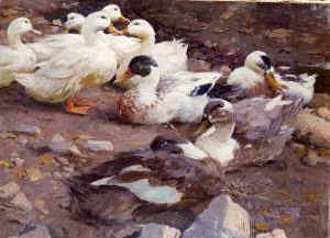 Photo of "DUCKS AND DRAKES ON A ROCKY BANK." by ALEXANDER MAX KOESTER