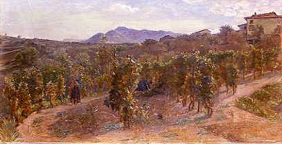 Photo of "A VINEYARD" by COSTA GIOVANNI