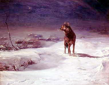 Photo of "A WOLF IN THE SNOW" by WILHELM KUHNERT