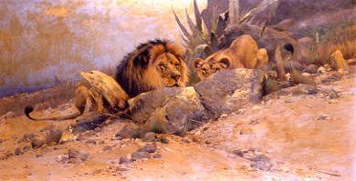 Photo of "STALKING LIONS" by WILHELM KUHNERT