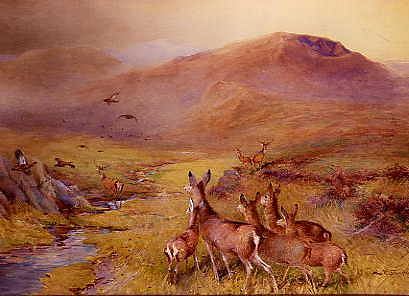 Photo of "STAGS AND GROUSE" by CHARLES WHYMPER