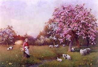 Photo of "BLOSSOM TIME" by BENJAMIN D. SIGMUND