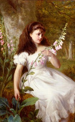 Photo of "FOXGLOVES" by GEORGE AUGUST HOLMES