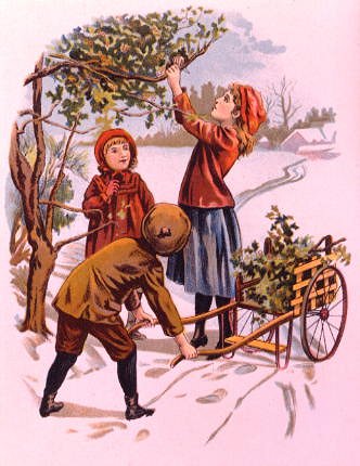 Photo of "COLLECTING HOLLY" by EVELINE (LIFESPAN DATES LANCE