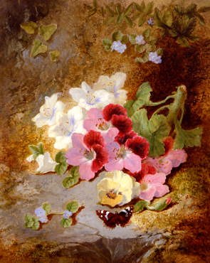 Photo of "FORGET-ME-NOTS, PANSIES AND PELARGONIUMS" by THOMAS WORSEY