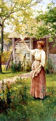 Photo of "THE WHITE DOVE, 1895" by ALFRED GLENDENING