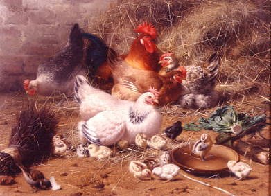 Photo of "A FAMILY OF CHICKENS" by EUGENE REMY MAES