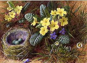 Photo of "DAISIES, PRIMROSES AND VIOLETS WITH A BIRD'S NEST" by CHARLES HENRY (C.1820-18 SLATER