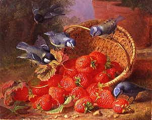 Photo of "A FEAST OF STRAWBERRIES (BLUE TITS)" by ELOISE HARRIET STANNARD