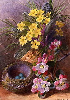 Photo of "APPLE BLOSSOM AND PRIMROSES" by CHARLES HENRY (C.1820-18 SLATER