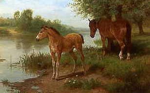 Photo of "A MARE AND HER FOAL" by BASIL BRADLEY