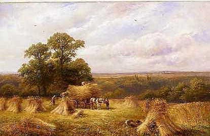 Photo of "A CORNFIELD" by GEORGE TURNER