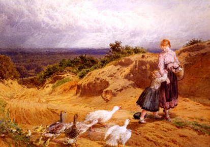 Photo of "SURPRISED BY THE GEESE" by MYLES BIRKET FOSTER