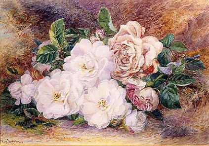 Photo of "A STILL LIFE OF WHITE AND PINK ROSES" by ROSA (NO LIFESPAN DATES APPLETON