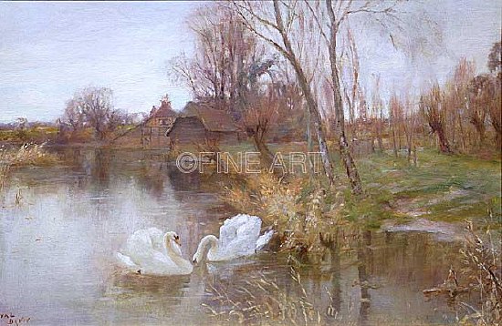 Photo of "SWANS BY THE RIVERBANK" by J. VALENTINE DAVIS