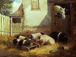 Photo of "A FAMILY OF PIGS" by JOHN FREDERICK SNR. HERRING