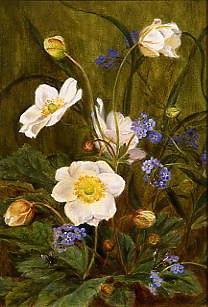 Photo of "ANEMONES AND FORGET-ME-NOTS" by MARIA DOROTHEA KRABBE
