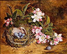 Photo of "APPLE BLOSSOM AND A BIRD'S NEST" by H. BARNARD (ACTIVE 1844- GREY