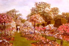 Photo of "THE ROSE GARDEN, CLANDON PARK, SURREY, ENGLAND" by THOMAS HUNN