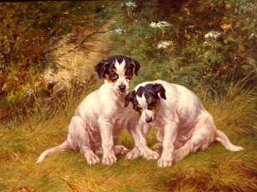 Photo of "AN INQUISITIVE PAIR" by GEORGE AUGUSTUS (ACTIVE HOLMES