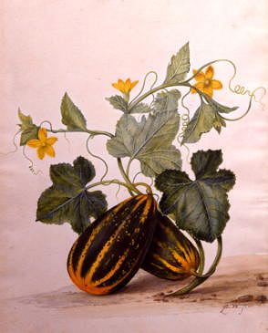 Photo of "A STILL LIFE OF GOURDS AND FLOWERS" by PIETER WITHOOS
