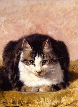 Photo of "A PAMPERED PET" by HENRIETTE RONNER KNIP