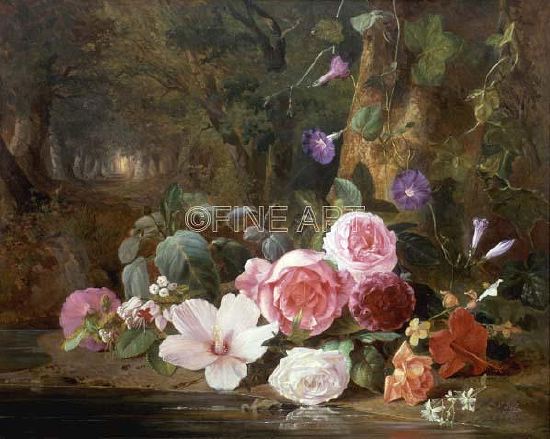 Photo of "FOREST FLOWERS" by JEAN BAPTISTE ROBIE