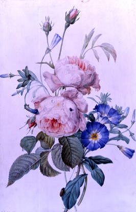 Photo of "A STUDY OF PINK ROSES AND CONVULVULUS" by PIERRE JOSEPH REDOUTE