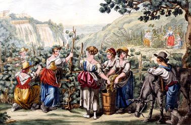 Photo of "THE GRAPE HARVEST" by BARTOLOMEO PINELLI
