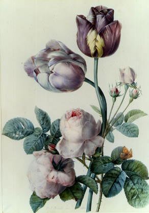 Photo of "A STUDY OF ROSES AND TULIPS" by PIERRE JOSEPH REDOUTE