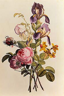 Photo of "BOUQUET OF IRIS, ROSE AND NARCISSUS" by JEAN LOUIS PREVOST