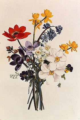 Photo of "BOUQUET OF NARCISSI AND ANENOME" by JEAN LOUIS PREVOST