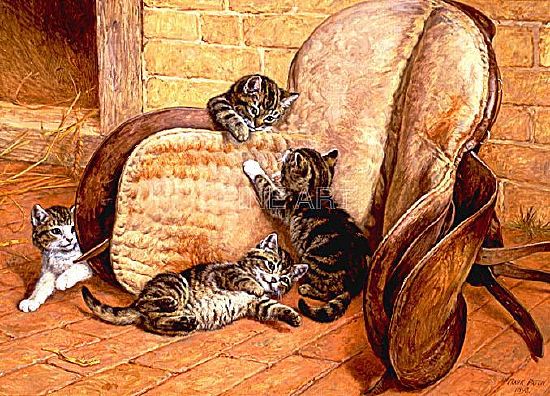 Photo of "KITTENS PLAYING" by FRANK PATON