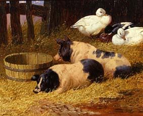 Photo of "SADDLEBACK PIGS AND DUCKS IN A FARMYARD" by FREDERICK HERRING