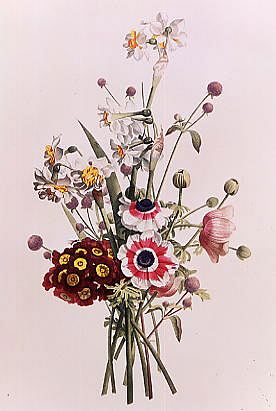 Photo of "A BOUQUET OF ANEMONE, AURICULA AND NARCISSI" by JEAN LOUIS PREVOST