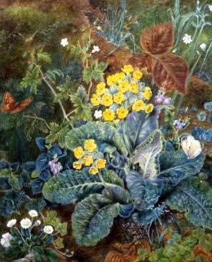 Photo of "A STILL LIFE OF POLYANTHUS AND BUTTERFLY" by MARY MARGETTS