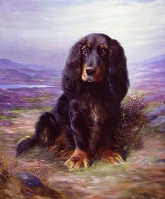 Photo of "A SPANIEL IN THE HIGHLANDS" by LILIAN CHEVIOT