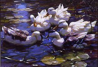 Photo of "DUCKS ON THE RIVER" by ALEXANDER MAX KOESTER