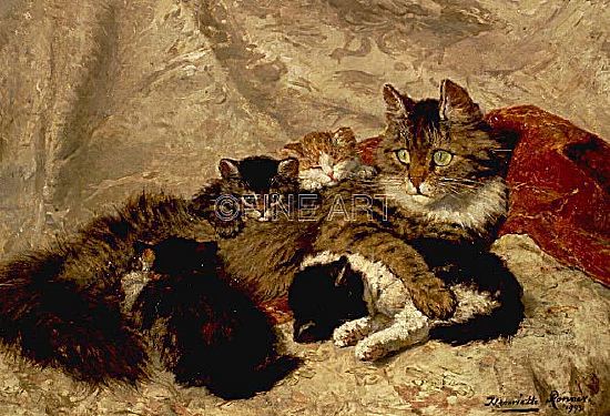 Photo of "TAKING A CAT NAP" by HENRIETTE RONNER- KNIP