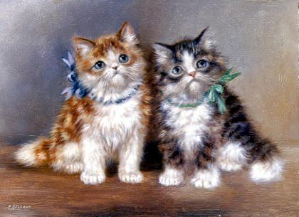 Photo of "FLUFFY KITTENS" by JEAN-FRANCOIS PORTAELS