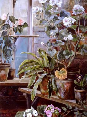 Photo of "GERANIUMS AND PRIMULAS IN A GREENHOUSE" by KATE E. ELLIOTT
