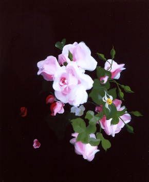Photo of "PINK ROSES" by STUART PARK