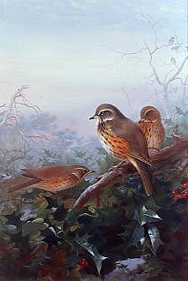 Photo of "REDWINGS DURING FROST" by ARCHIBALD THORBURN
