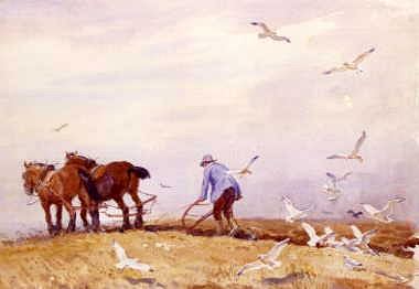 Photo of "GULLS FOLLOWING THE PLOUGH" by GEORGE SOPER