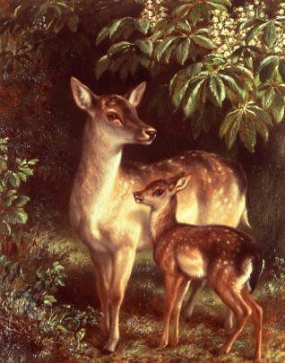 Photo of "A DOE WITH HER FAWN" by SAMUEL JOHN CARTER