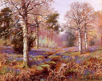 Photo of "A BLUEBELL WOOD" by WALTER BOODLE