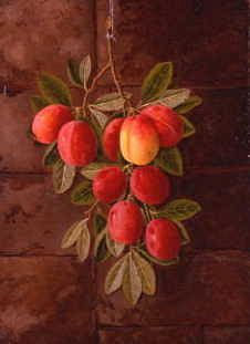Photo of "STILL LIFE OF PLUMS" by GEORGE CRISP