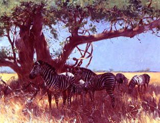 Photo of "ZEBRAS IN FREIER STEPPE, AFRICA" by WILHELM KUHNERT