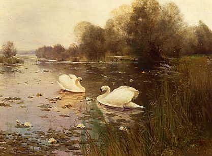 Photo of "SWANS" by A.E. BAILEY