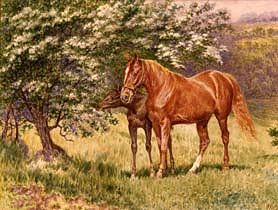 Photo of "A MARE AND HER FOAL IN A SPRING MEADOW" by WILSON HEPPLE